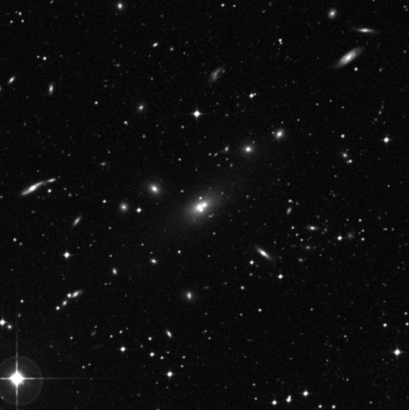 IC 208202 - Zoom