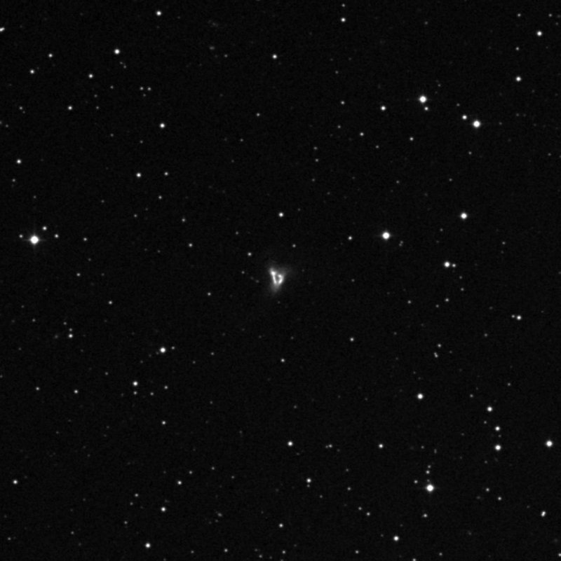 IC 218401 - Zoom
