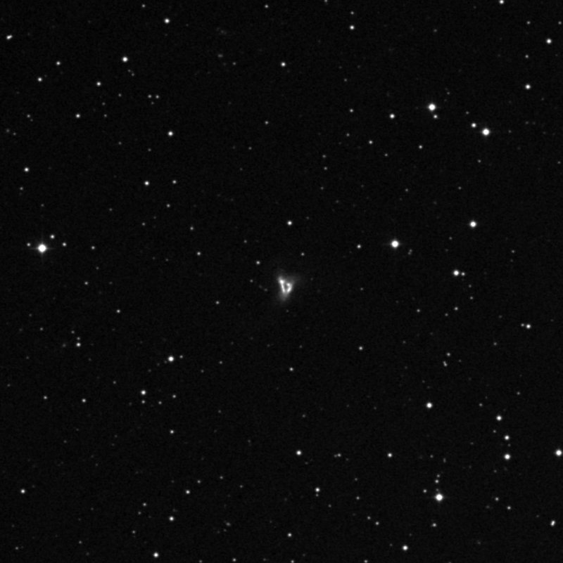IC 218402 - Zoom