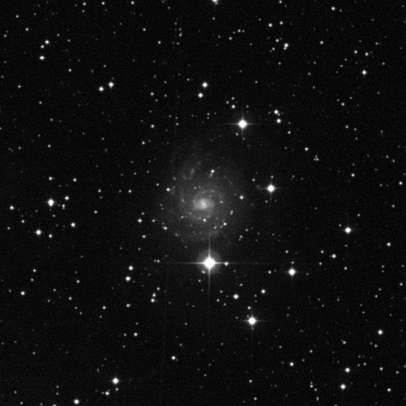IC 239 - Zoom