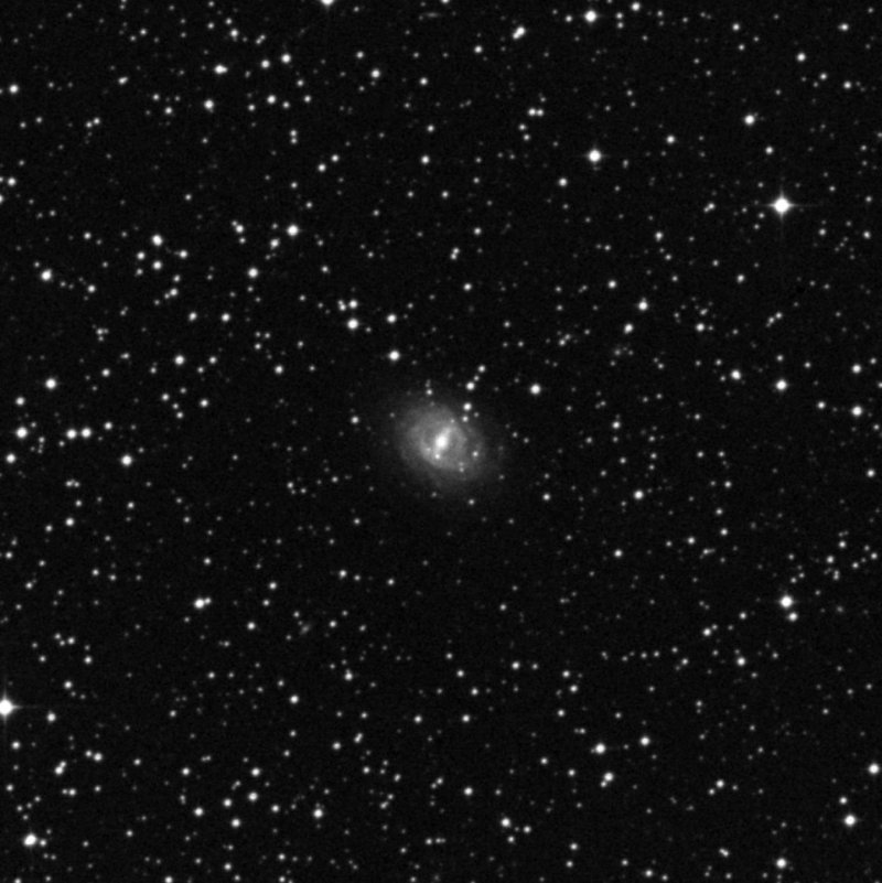IC 2367 - Zoom