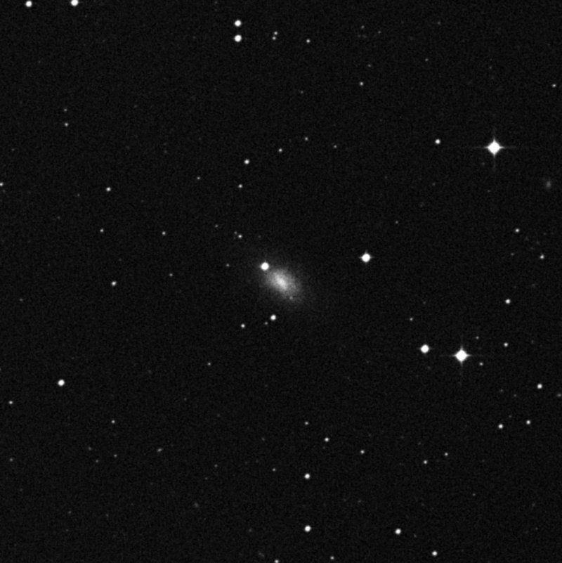 IC 249 - Zoom