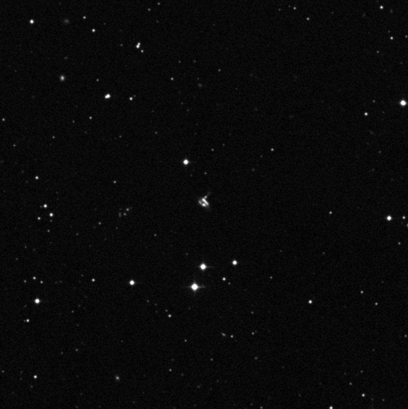 IC 243103 - Zoom