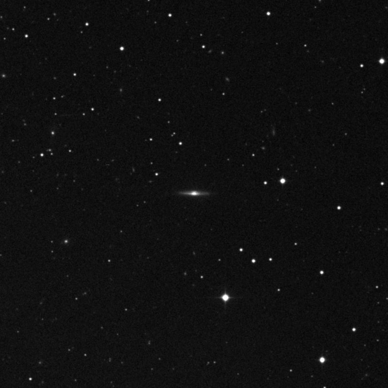 IC 31 - Zoom