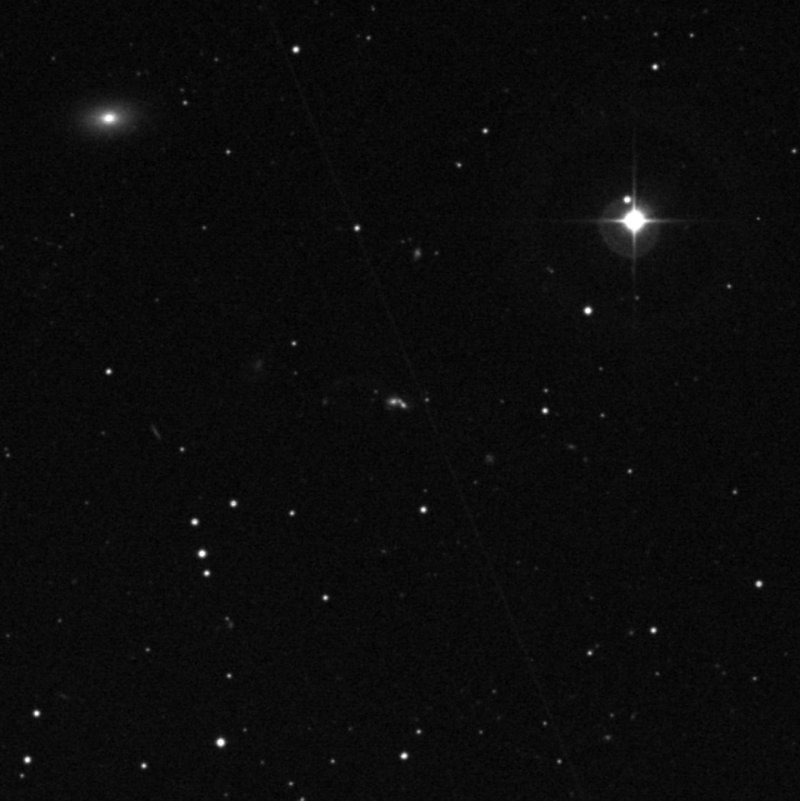 IC 305502 - Zoom