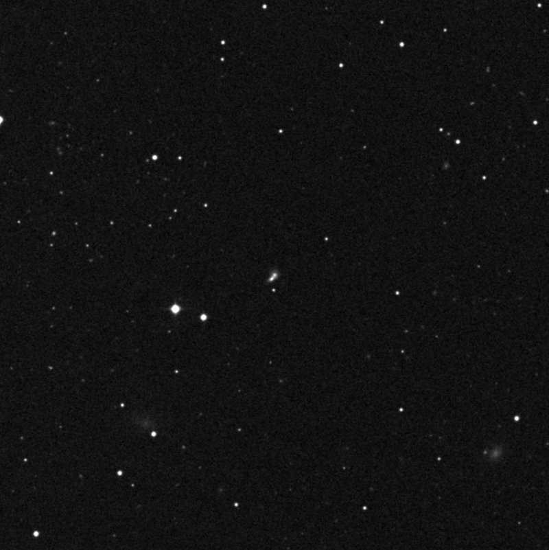 IC 312102 - Zoom
