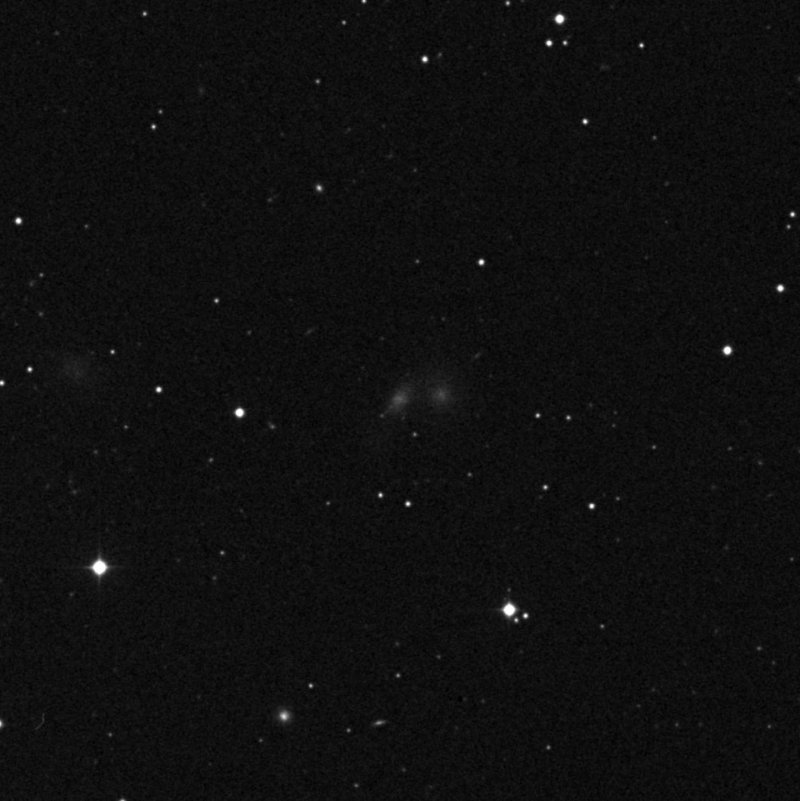 IC 314202 - Zoom
