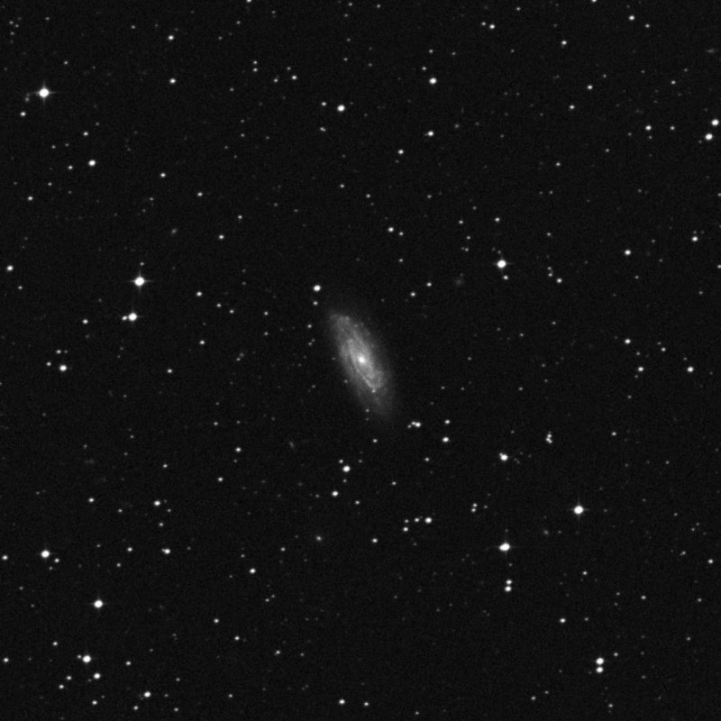 IC 3253 - Zoom