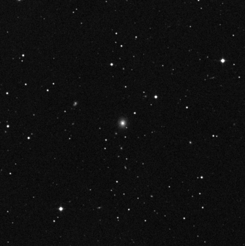 IC 338 - Zoom