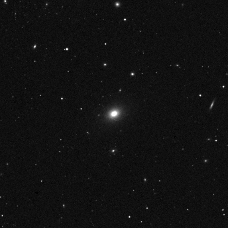 IC 3545 - Zoom