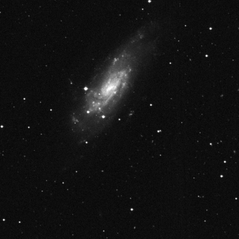 IC 3554 - Zoom