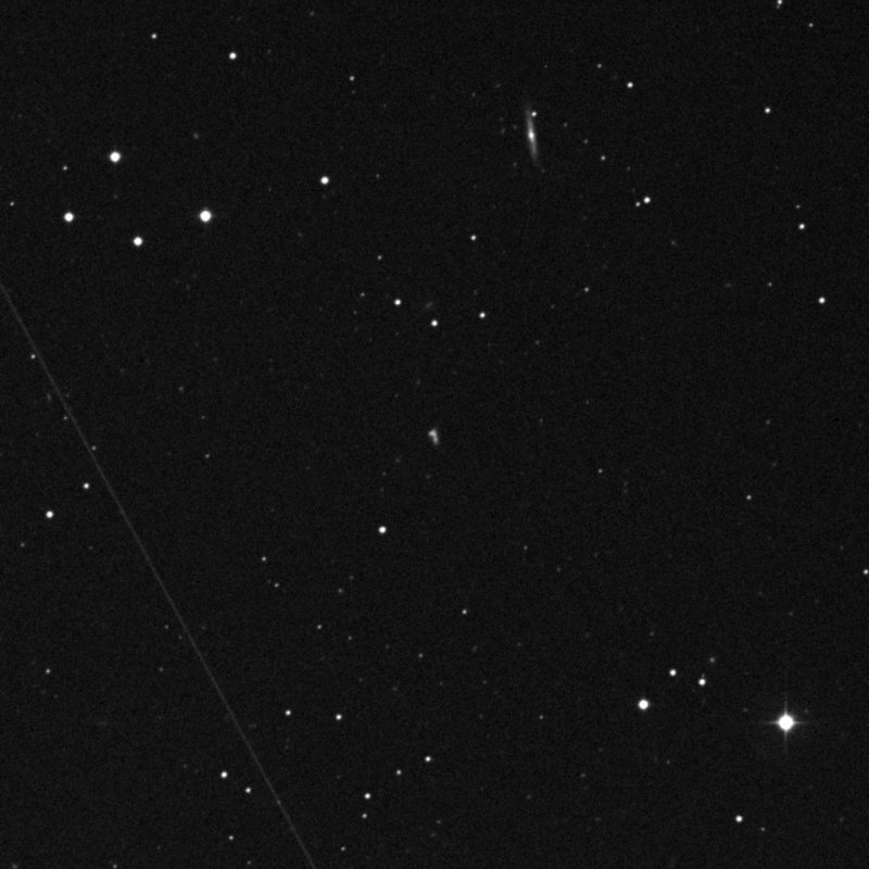 IC 415101 - Zoom
