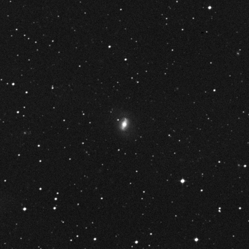 IC 4180 - Zoom