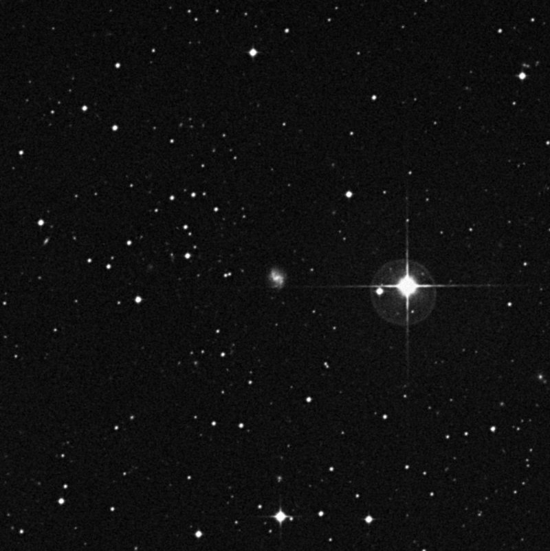 IC 4217 - Zoom