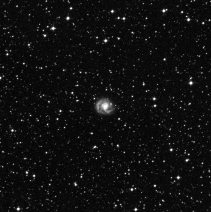 IC 4444 - Zoom