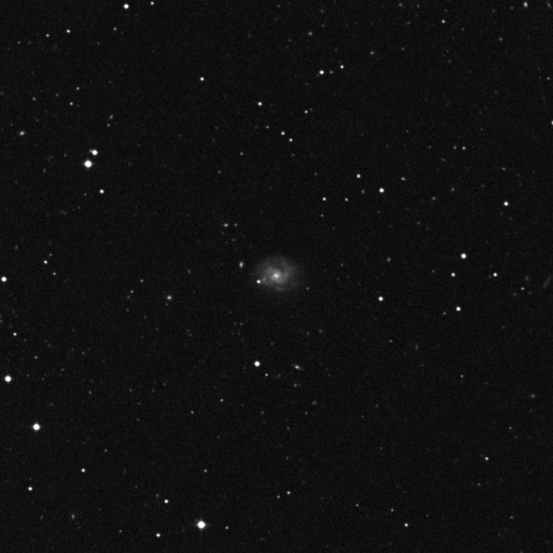 IC 49 - Zoom