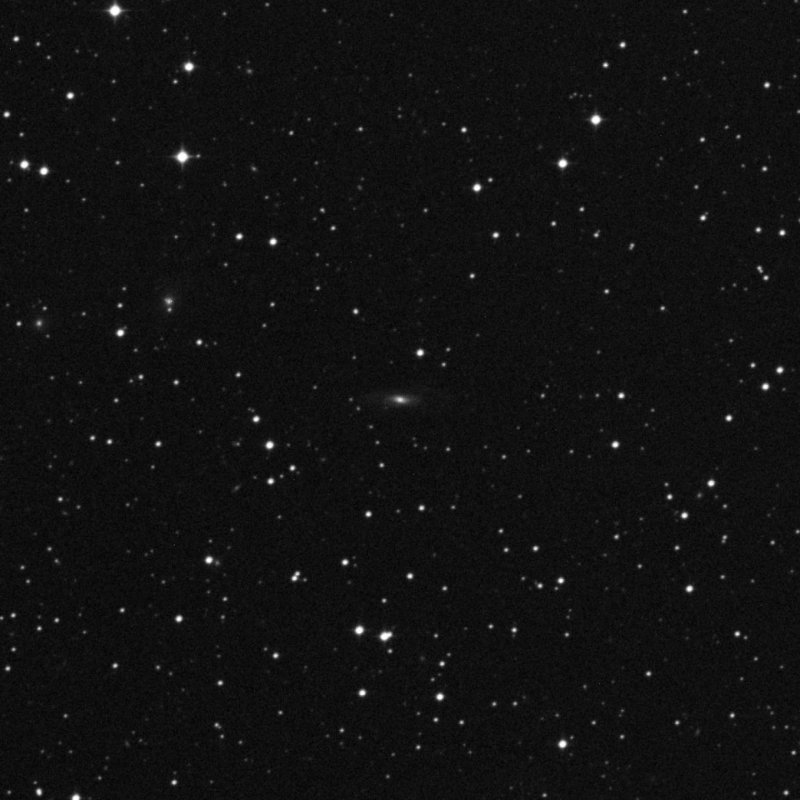 IC 5019 - Zoom