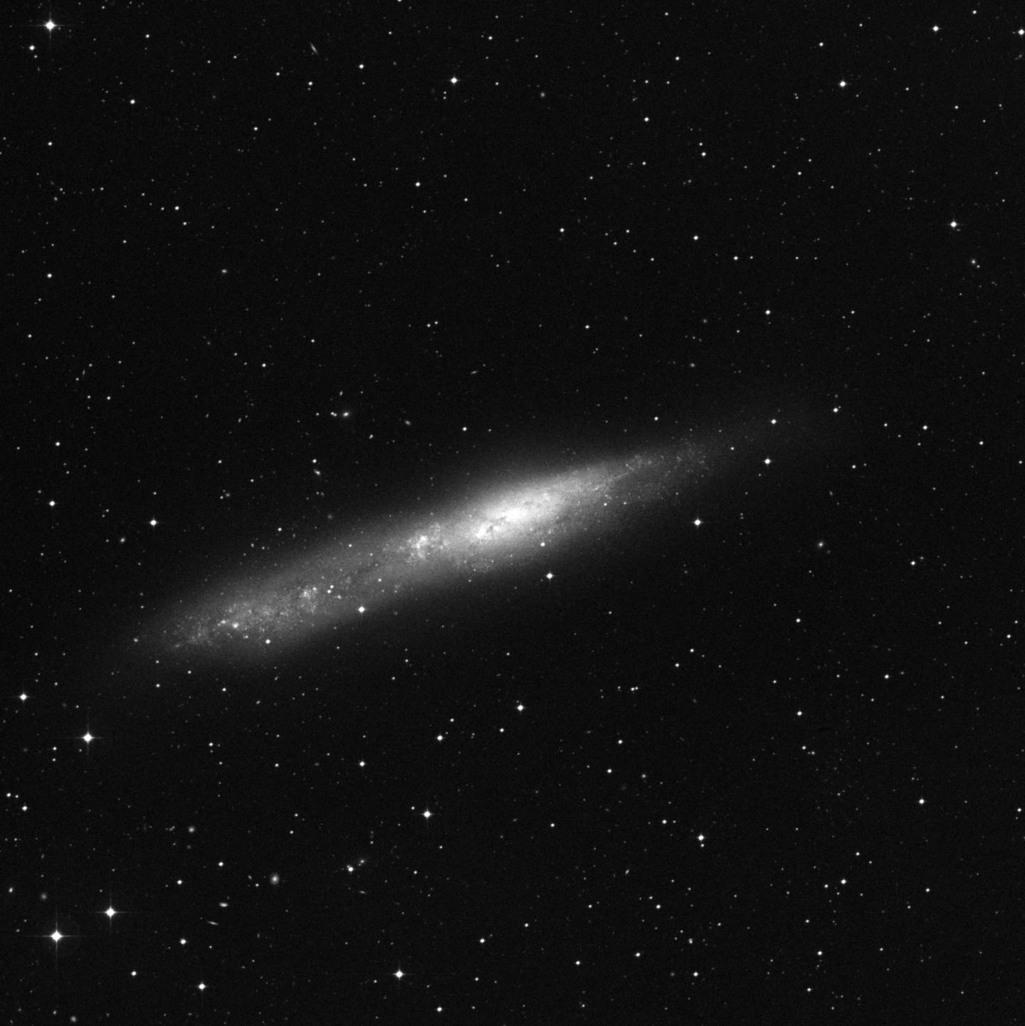 NGC 55 - Galaxia de la Ballena