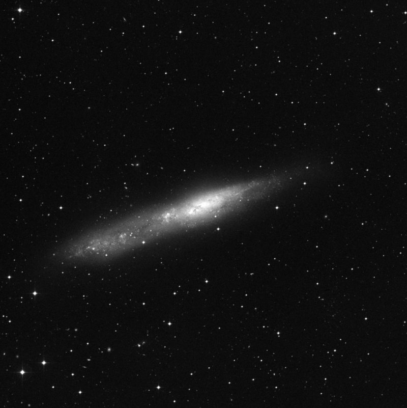Galaxia de la Ballena - Zoom
