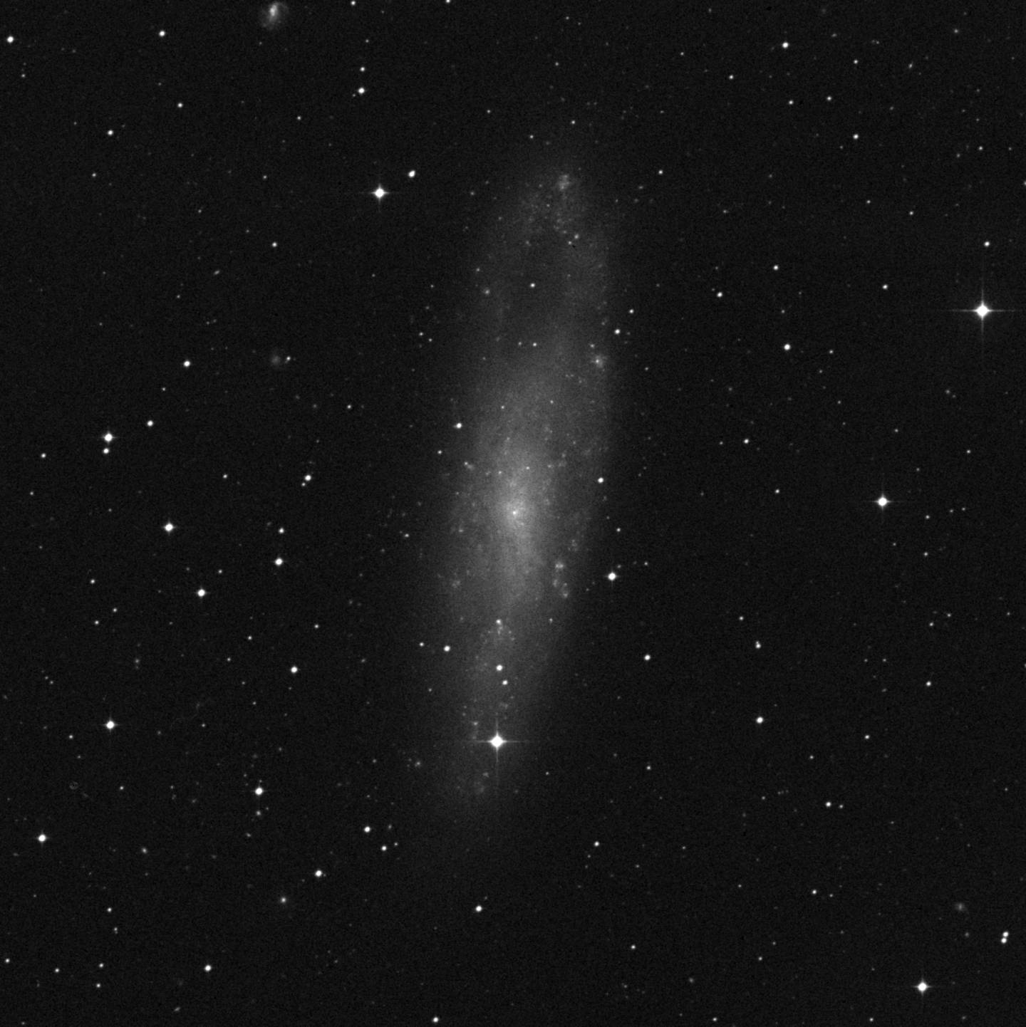 NGC 247 - Galaxia de la Aguja del Ojo