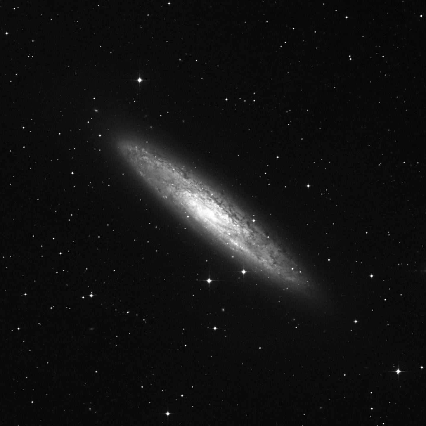 NGC 253 - Filamento del Escultor, Moneda de Plata