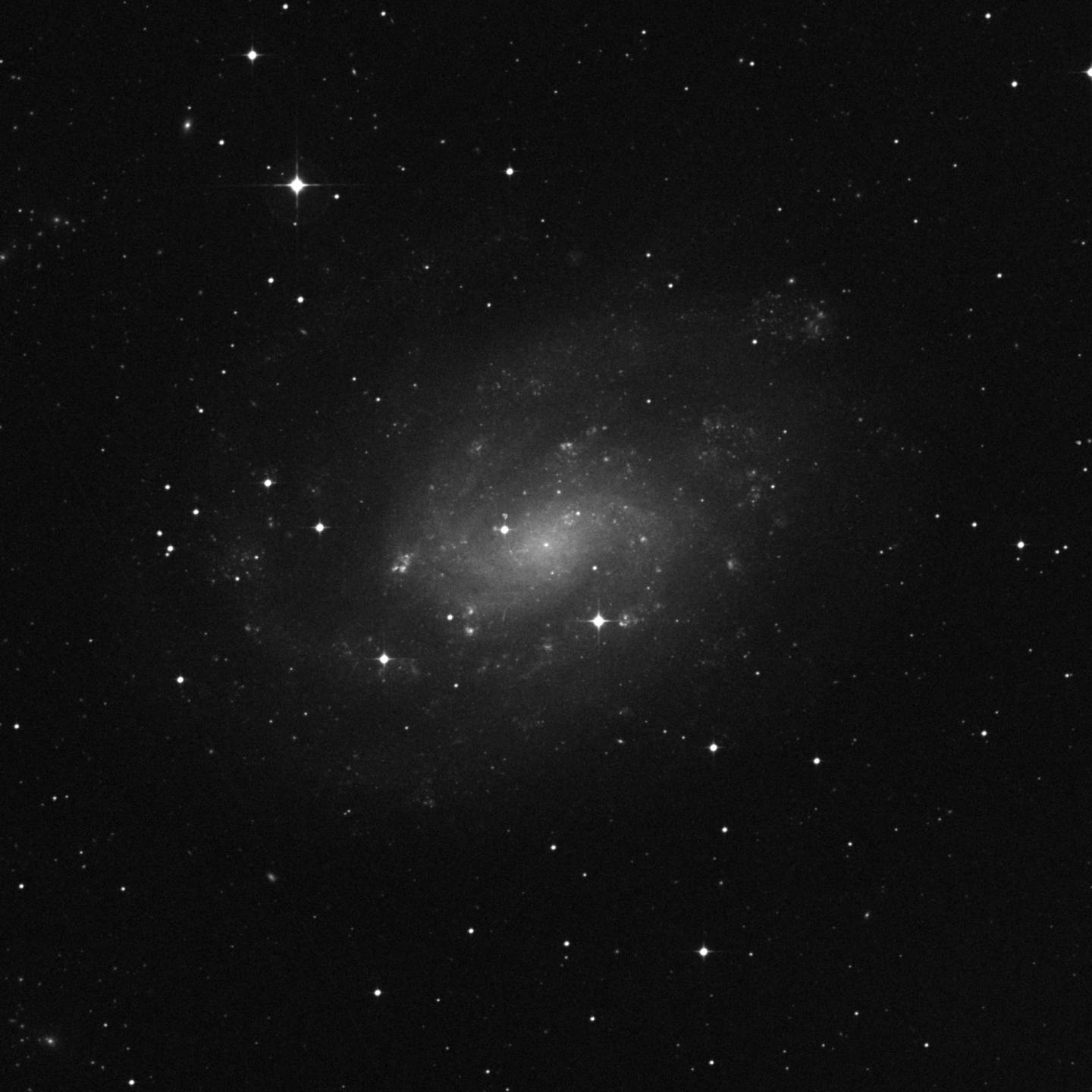 NGC 300 - Galaxia del Escultor Sur