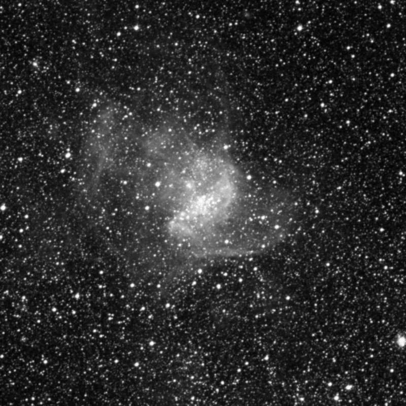 Nido de Estrellas - Zoom
