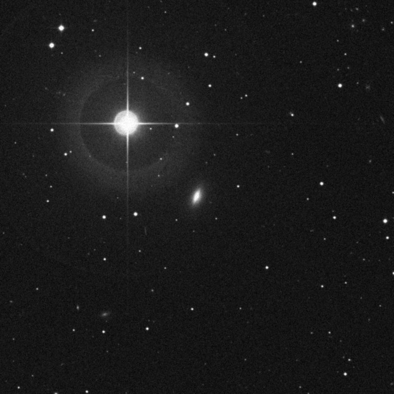 NGC 442 - Zoom