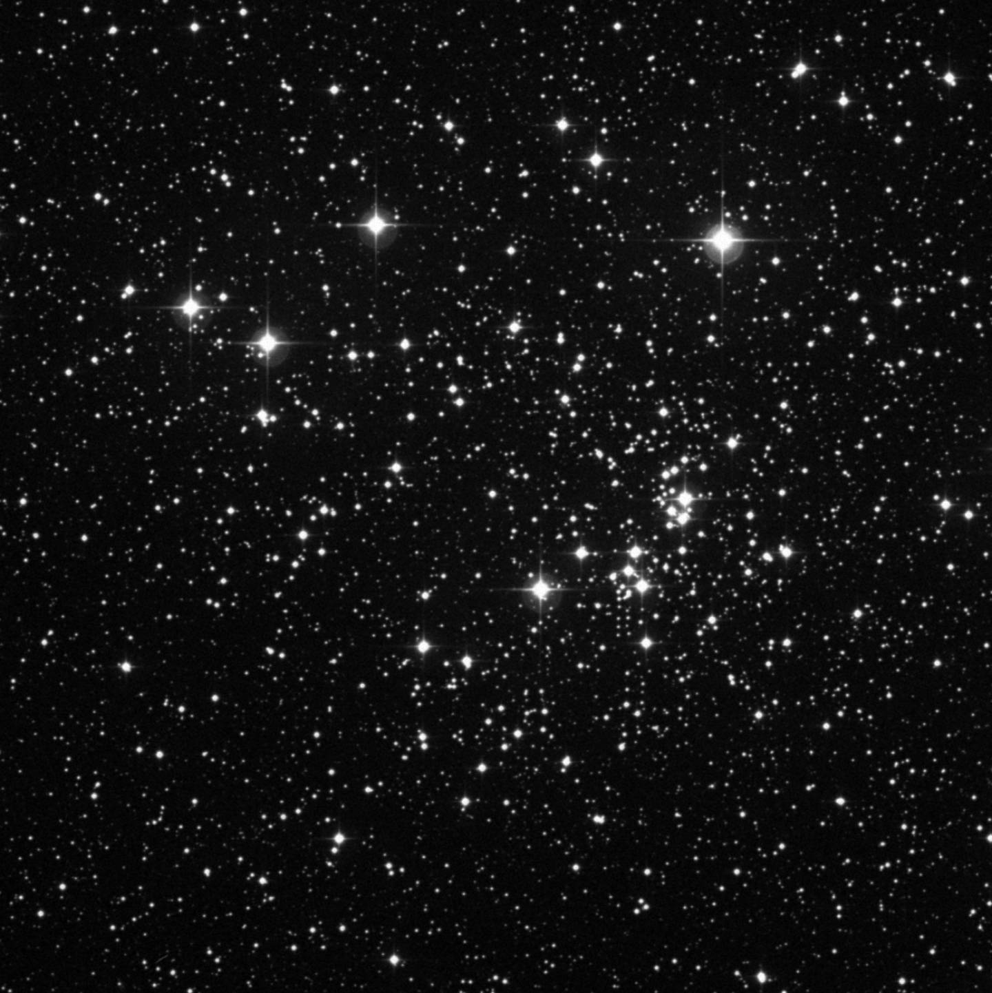 NGC 884 - Cúmulo chi Persei