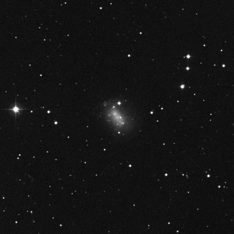 NGC 1156 - Zoom
