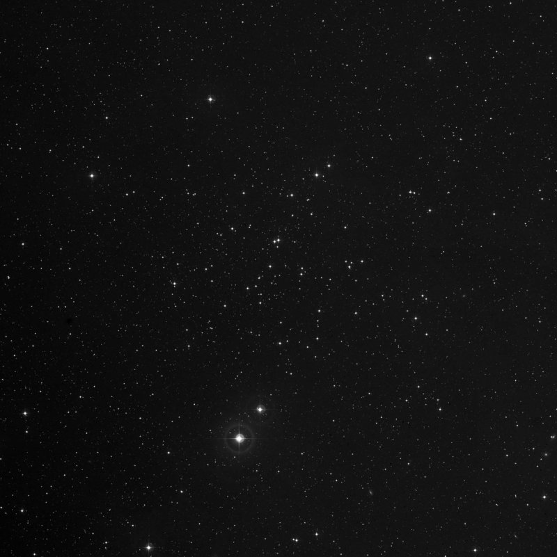 Cúmulo de la Estrella de Mar - Zoom