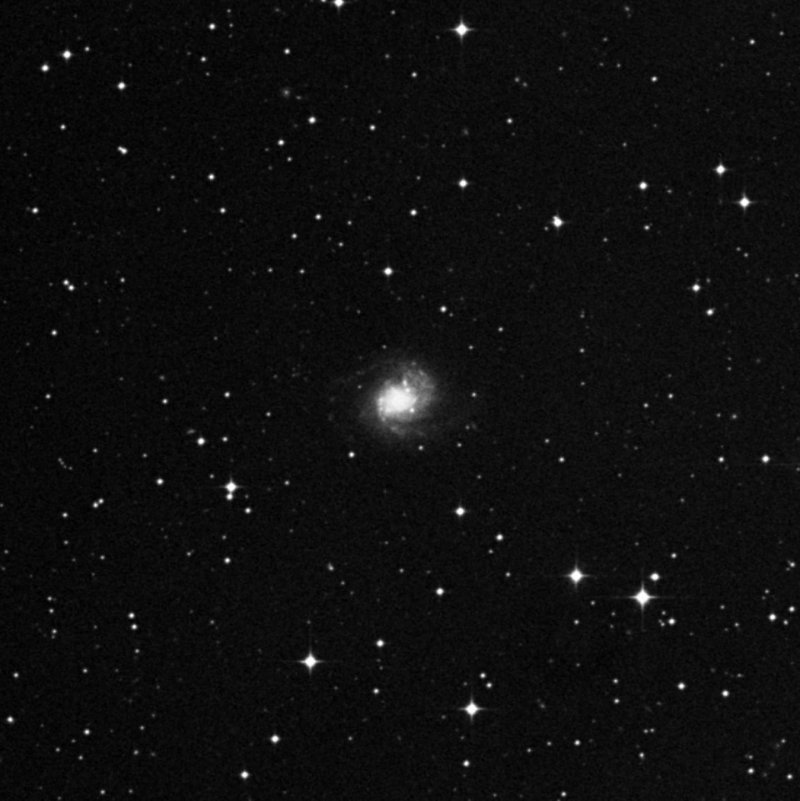 NGC 1843 - Zoom