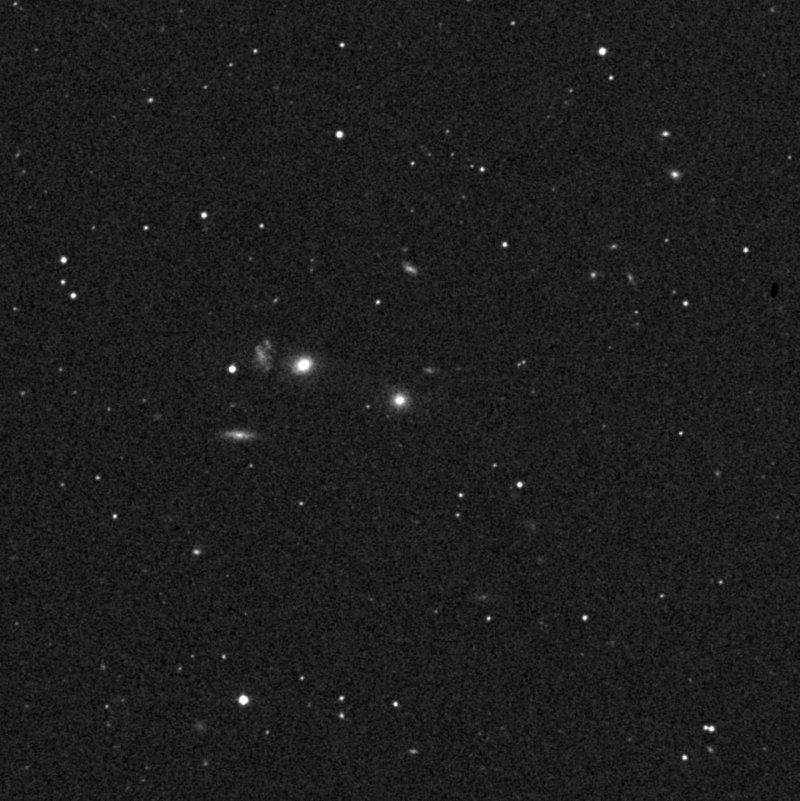 IC 736 - Zoom