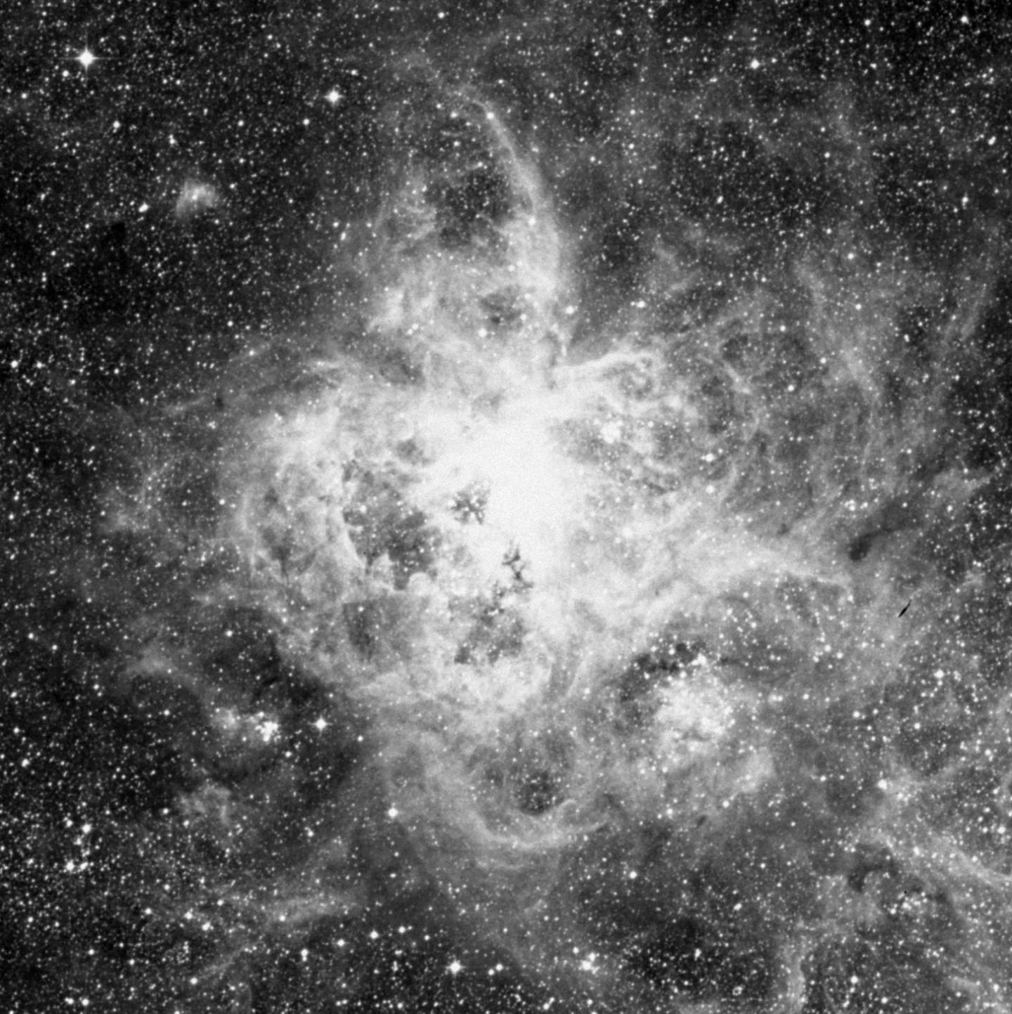 NGC 2070 - Cúmulo 30 Doradus, Nebulosa de la Tarántula