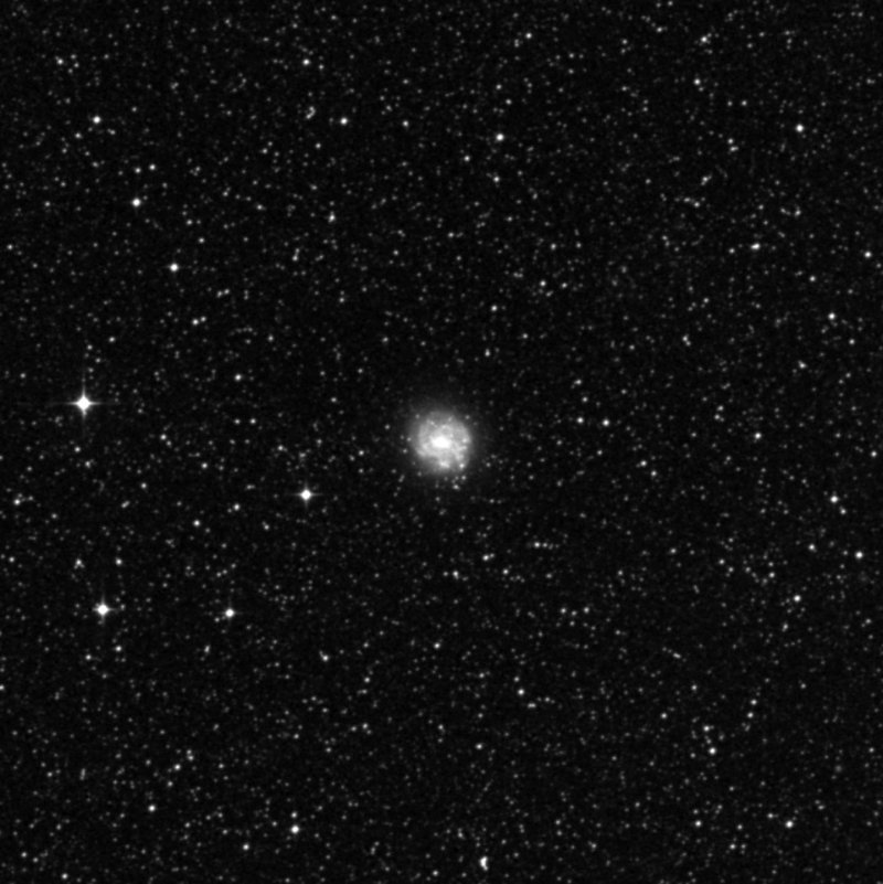 NGC 2082 - Zoom