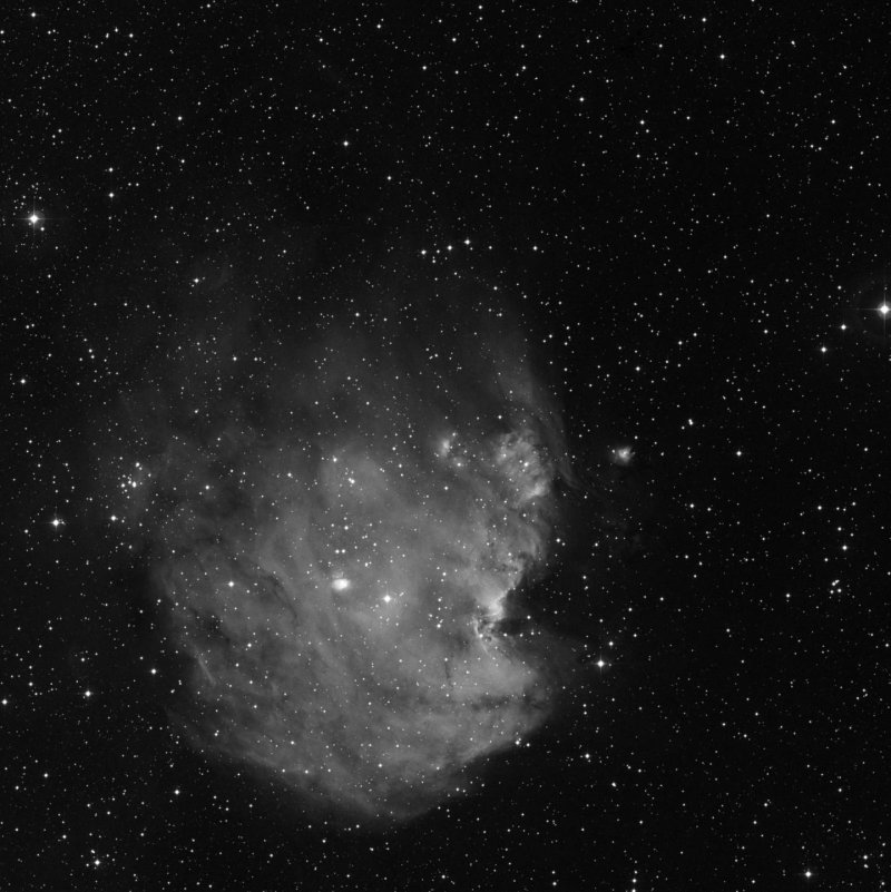 Nebulosa Cabeza de Mono - Zoom