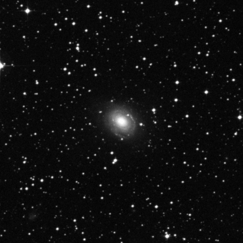 NGC 2196 - Zoom