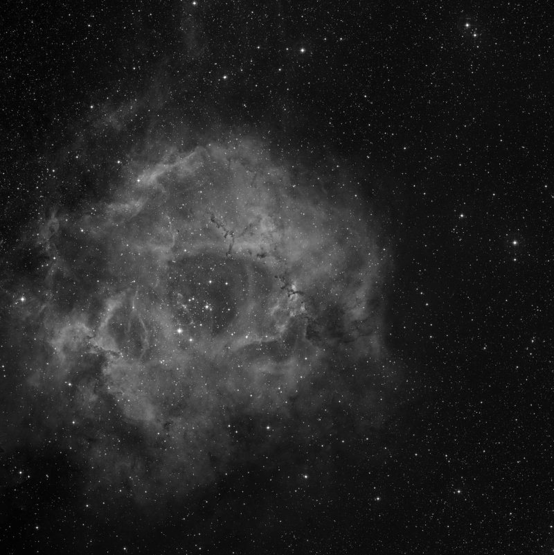 Roseta A - Zoom