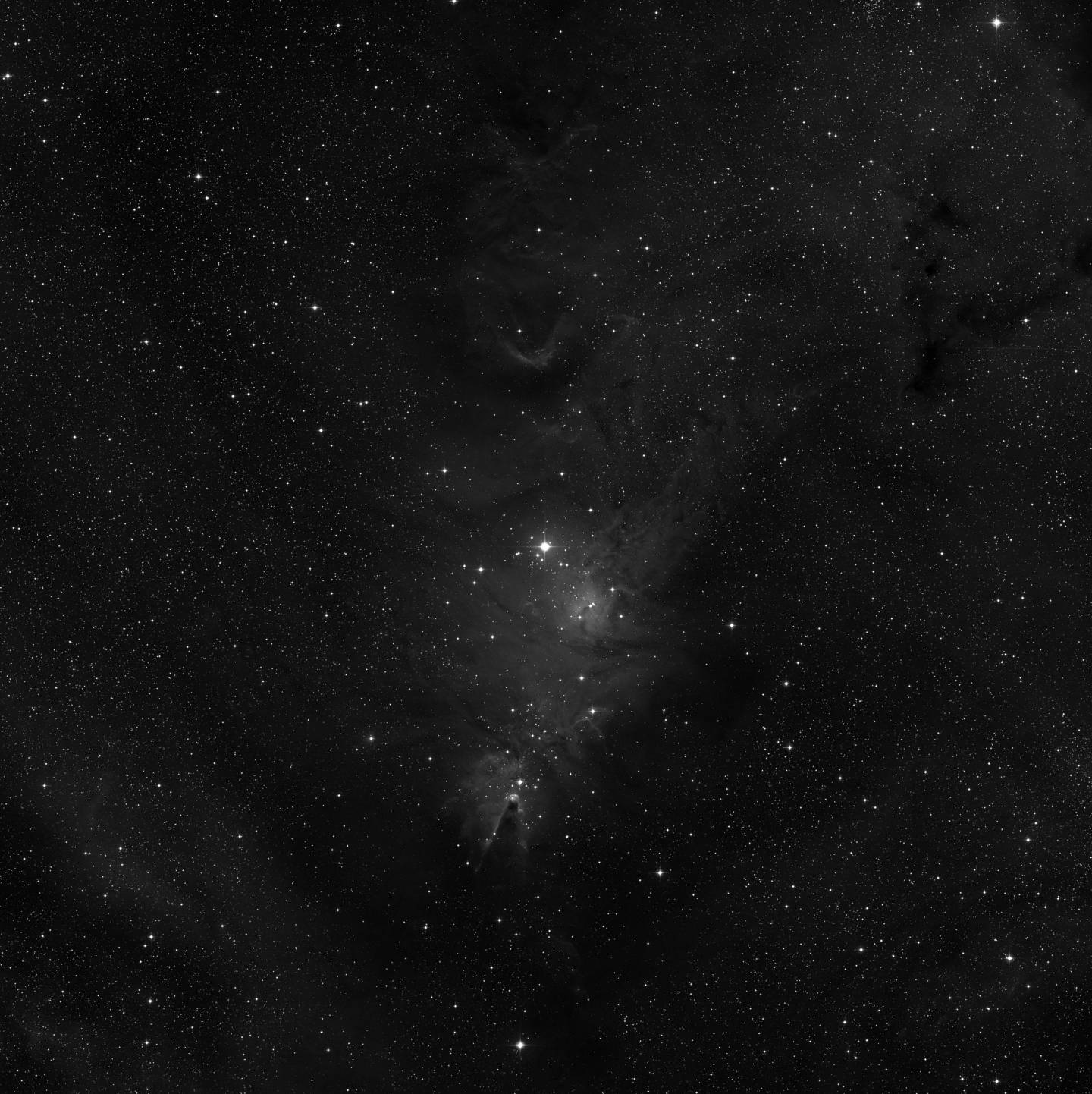 NGC 2264 - Nebulosa del Cono