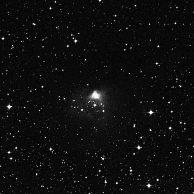 NGC 2316 - Zoom
