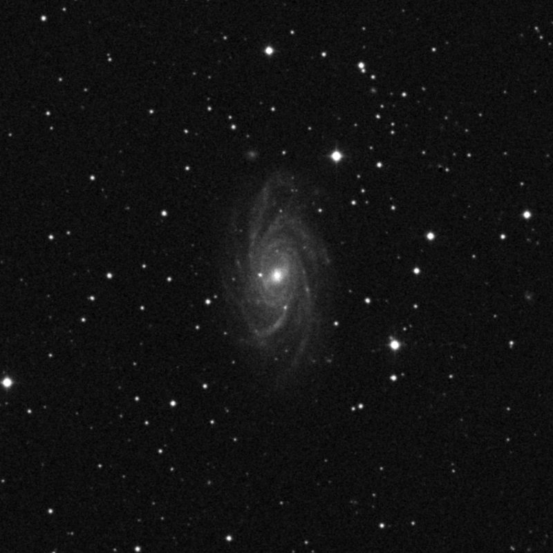 NGC 2336 - Zoom