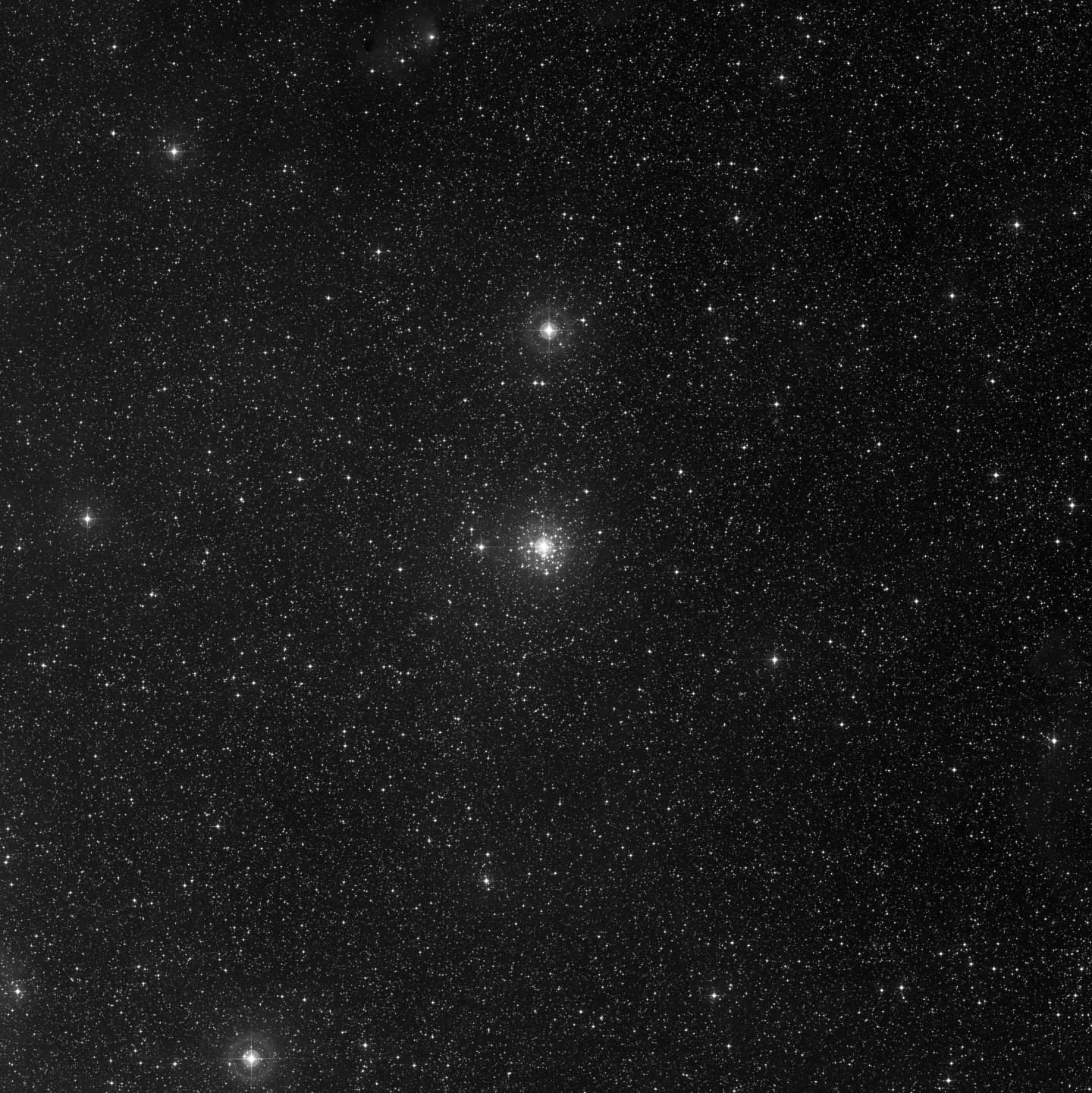 NGC 2362 - Cúmulo de Tau Canis Majoris