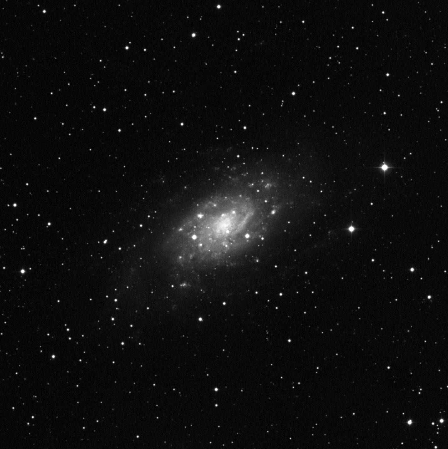 NGC 2403 - Galaxia de Caldwell 7
