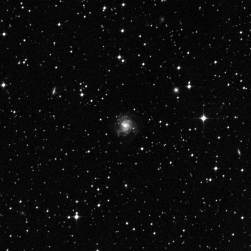 NGC 2466 - Zoom