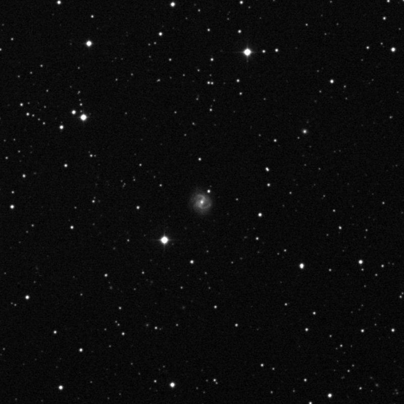NGC 2503 - Zoom