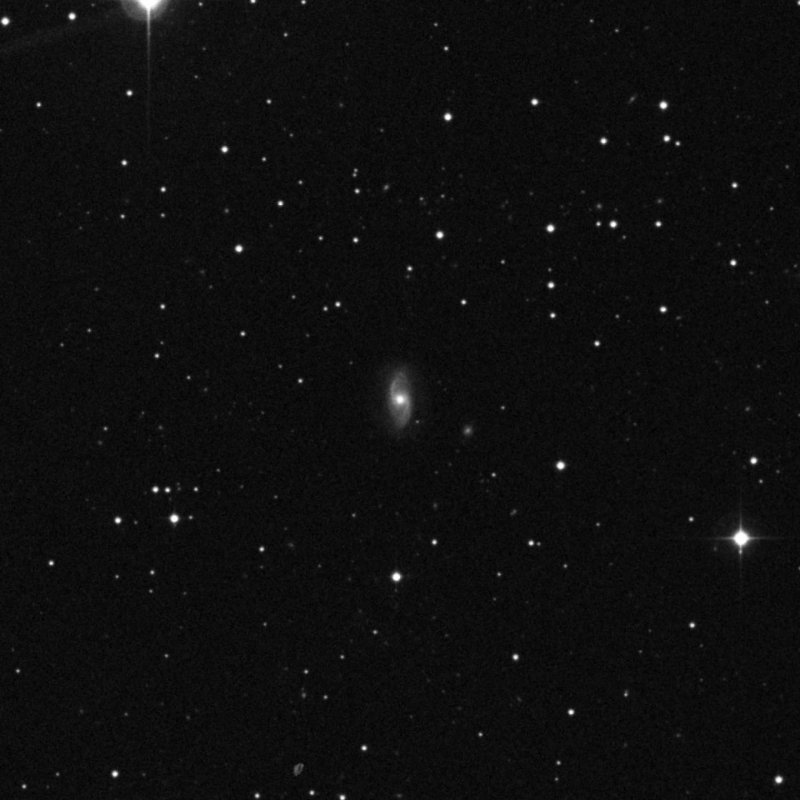 NGC 2505 - Zoom