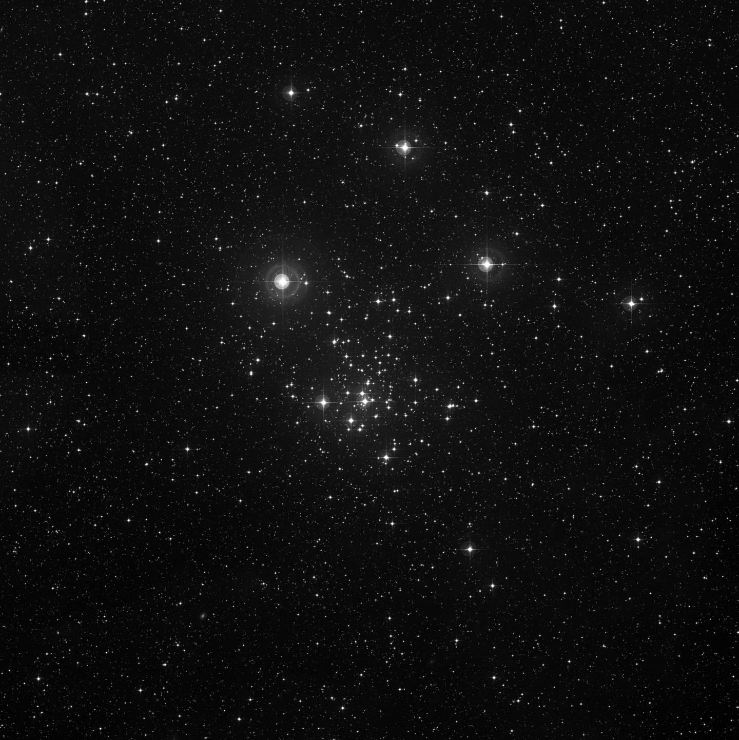 NGC 2516 - Diamante del Sur