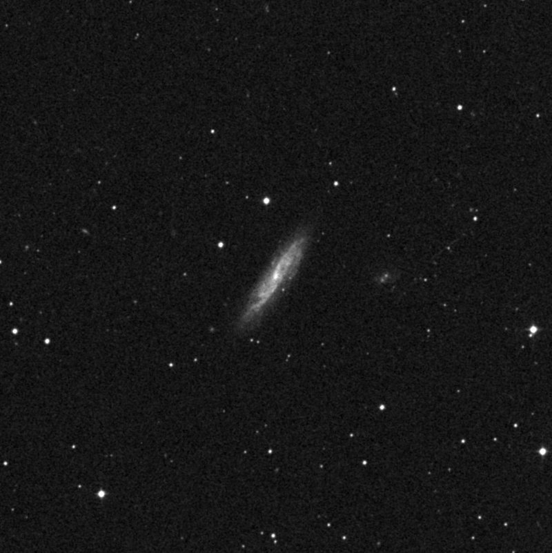 NGC 2770 - Zoom