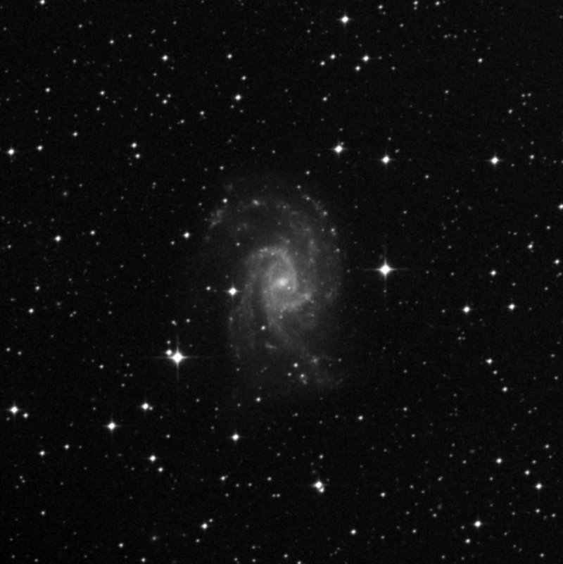 NGC 2835 - Zoom