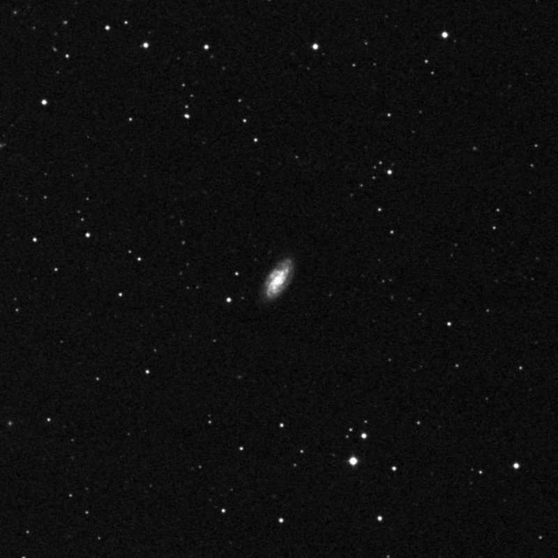 NGC 2977 - Zoom
